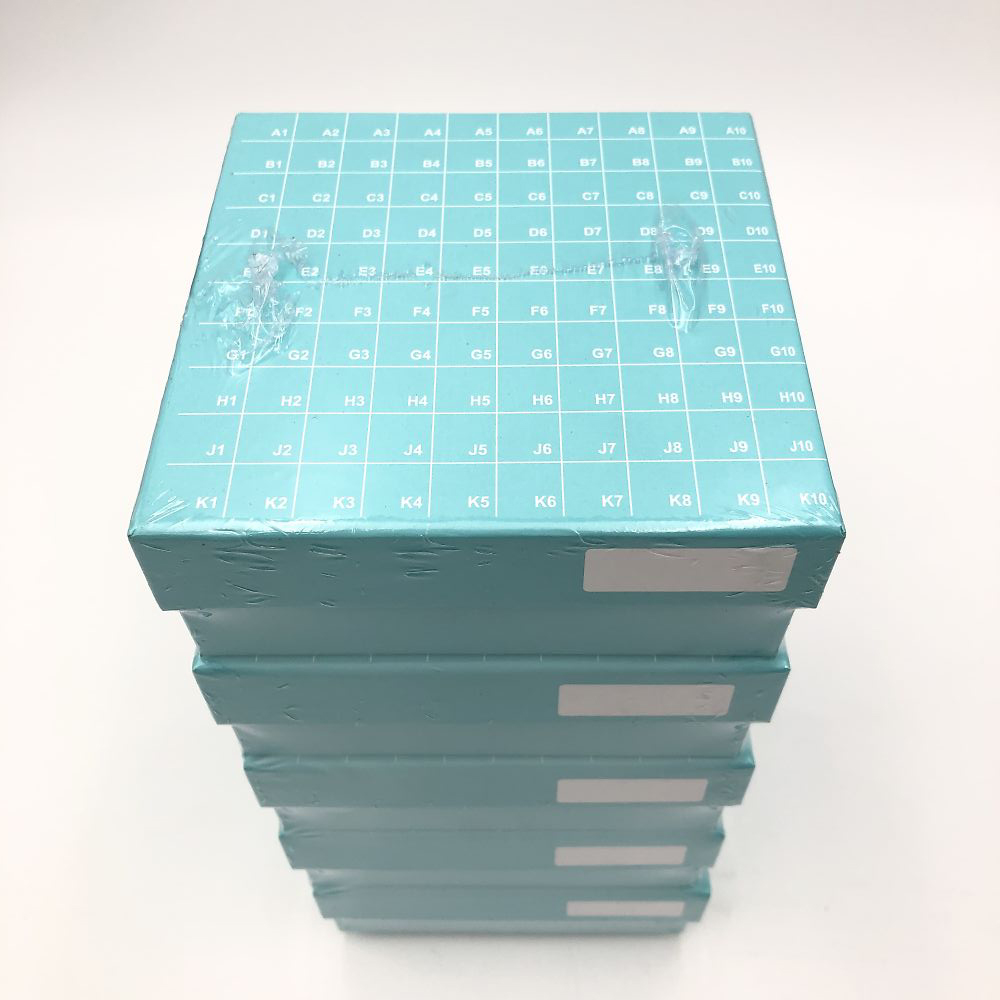 ヒンジ開閉フリーザーボックス（10×10） 緑 5個入 R2700-G