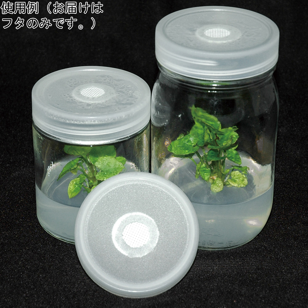 植物培養容器 C170-10EA 10個入