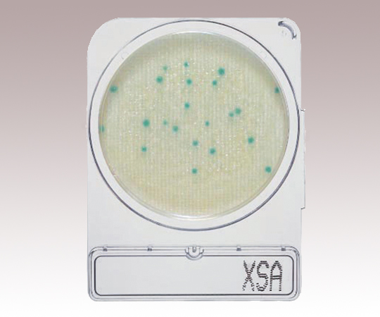 コンパクトドライ （黄色ブドウ球菌測定用/4枚×10袋） 06729X-SA