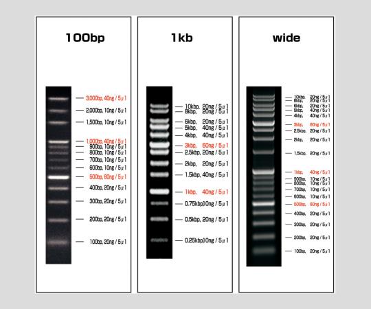 ビオラモDNAラダーマーカー（0.25〜10kbp/1本入） VIO-1kb-1 - ウインドウを閉じる