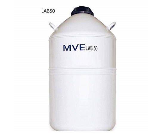 液体窒素保存容器 LABシリーズ 50L 0.49L/日 LAB50 MVE-9918109