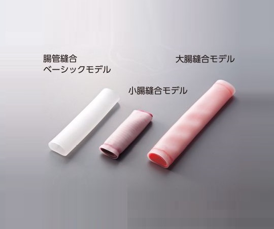 訓練用モデル 腸管縫合ベーシックモデル 訓練用モデル 腸管縫合ベーシックモデル